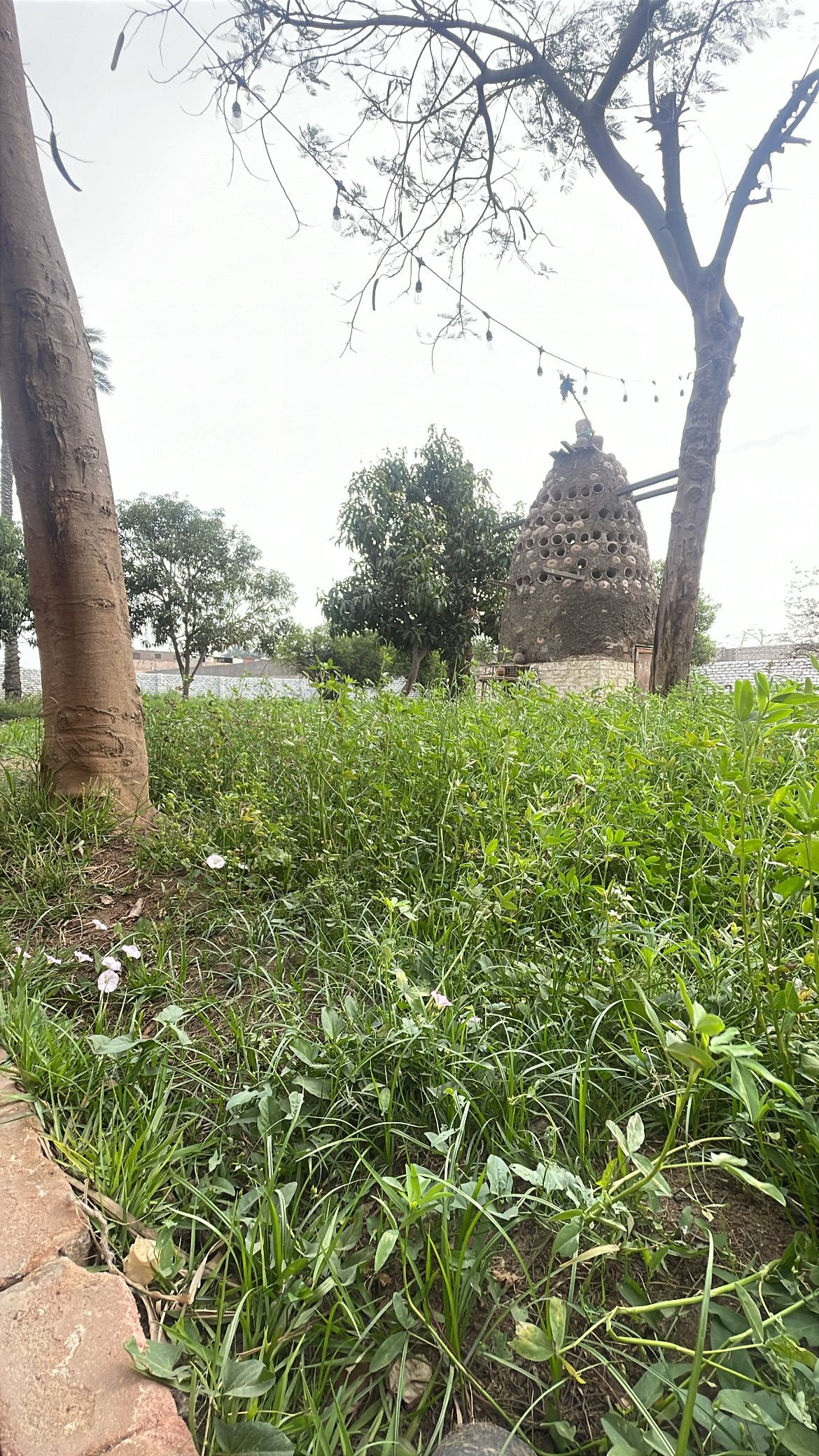 Open grounds at the farm with natural landscape